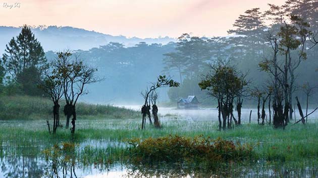 Hình ảnh đẹp tại hồ Tuyền Lâm