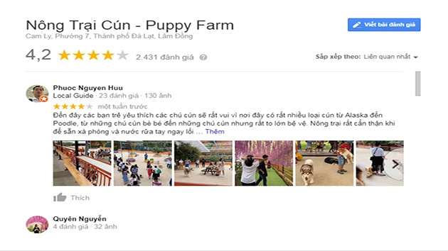 Review nông trại cún - Puppy Farm
