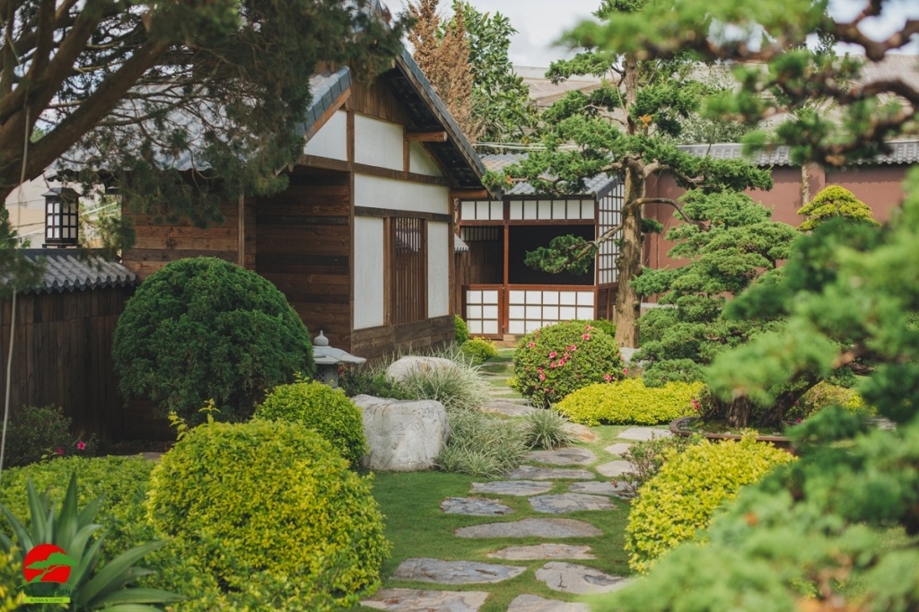 Quê Garden Vạn Thành là một thiên đường cây Bonsai khổng lồ