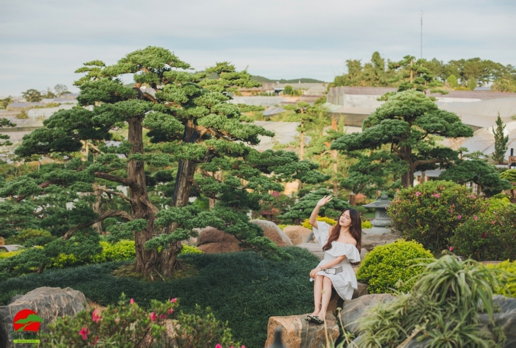 Không gian bonsai tinh tế của Nhật Bản ở QUÊ