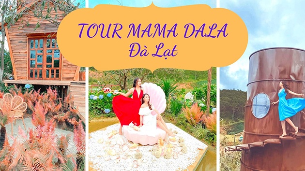 Tour "check in" Mama Dala Cafe Đà Lạt