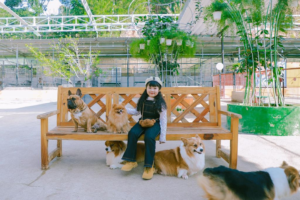 Chơi với các bé cún cực dễ thương ở Nông Trại Cún – Puppy Farm