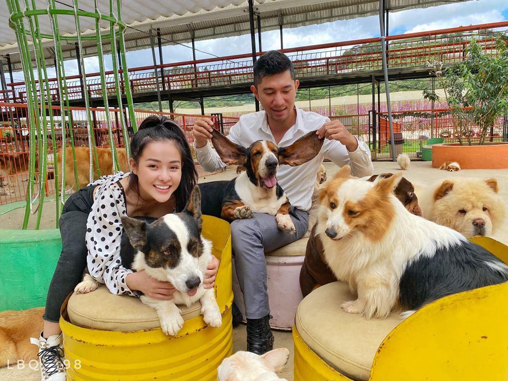 Nông Trại Cún - Puppy Farm