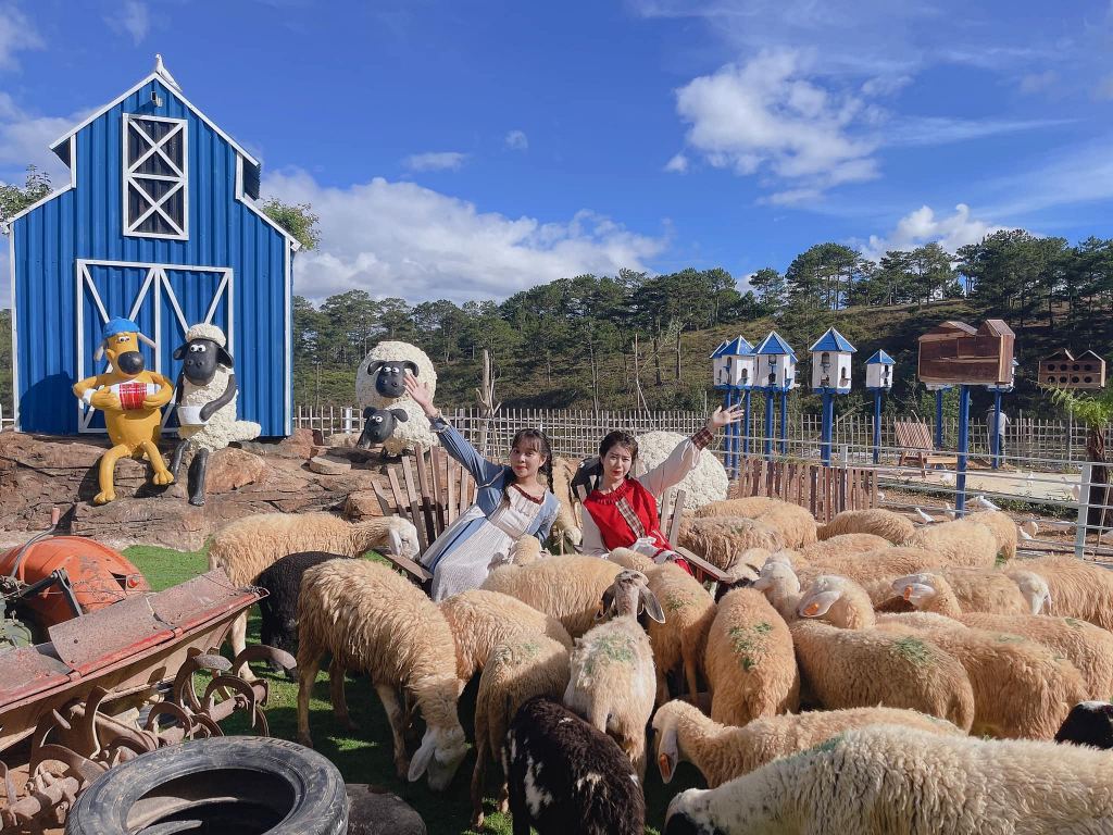 Nông Trại Cừu Frenzy Farm
