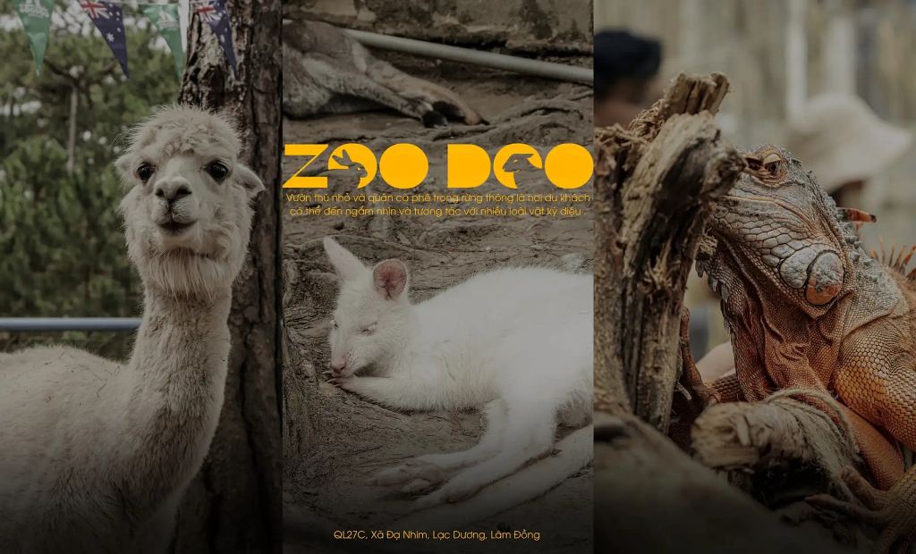 vườn thú Zoodoo Đà Lạt