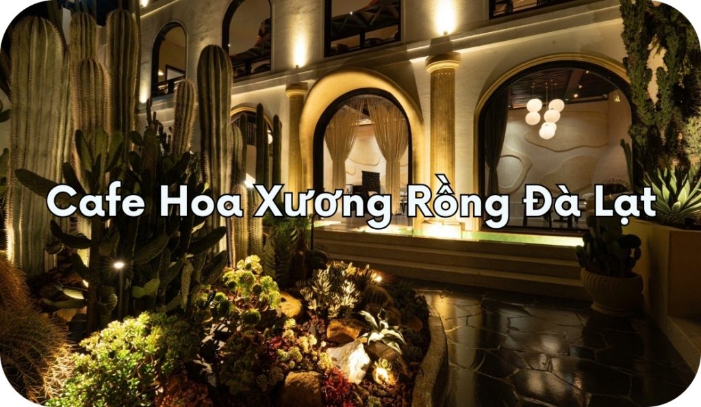 Cafe Hoa Xương Rồng Đà Lạt